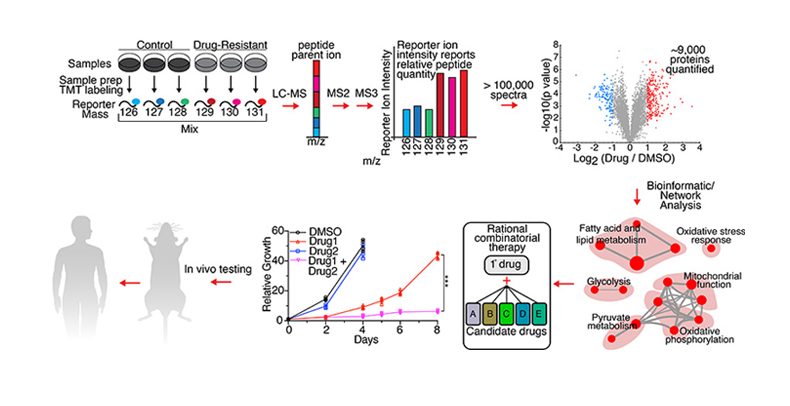 Therapeutic Resistance Quantitative Proteomic Workflow